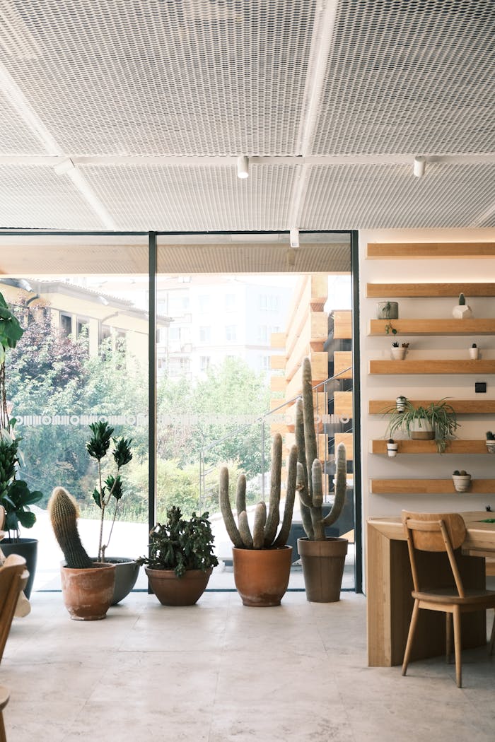 Spacious office in Eskişehir featuring modern design with potted plants and natural light.